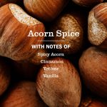 Acorn Spice Kitchen Basics Set - Image 4