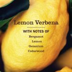 Lemon Verbena Soy Candle Large - Image 3