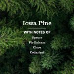 Iowa pine Kitchen Basics Set - Image 4