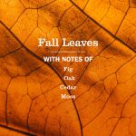 Fall Leaves Liquid Hand Soap 3-count Bundle - Image 4