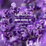 Lavender Scent Booster - Image 3