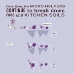 Lavender Probiotic Multi-Surface Concentrate - Image 4
