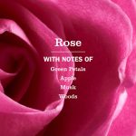 Rose Multi-Surface Everyday Cleaner 3-count Bundle - Image 4