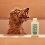Sweet Chamomile 3-in-1 Dog Shampoo - Image 7
