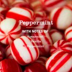 Peppermint Liquid Hand Soap 3-count Bundle - Image 4