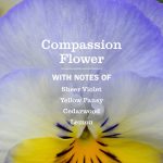 Compassion Flower Fabric Freshener - Image 3