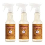 Apple Cider Multi-Surface Everyday Cleaner 3-count Bundle