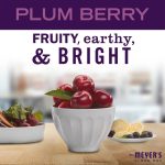Plum Berry Body Wash - Image 3