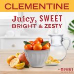 Clementine Body Lotion - Image 3