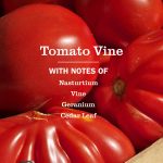 Tomato Vine Kitchen Basics Set - Image 4