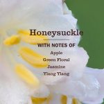 Honeysuckle Kitchen Basics Set - Image 4