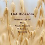 Oat Blossom Liquid Hand Soap - Image 4