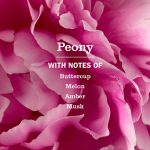Peony Dish Soap - Image 4