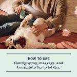 Sweet Chamomile Dog Deodorizing Spritz - Image 6