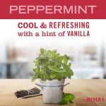 Peppermint Tin Candle - Image 3