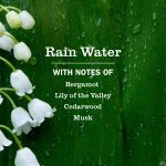 Rain Water Fabric Softener - Image 3