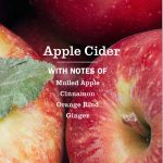 Apple Cider Room Freshener - Image 4