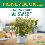 Honeysuckle Laundry Scent Booster - Image 3