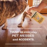 Orange Blossom Pet Multi-Surface Cleaner - Image 4