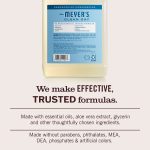Rain Water Dish Soap Refill - Image 4