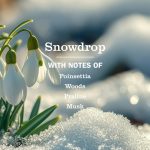 Snowdrop Essentials 5-Count Bundle - Image 2